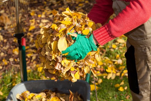 Professional home clearance services in Lee