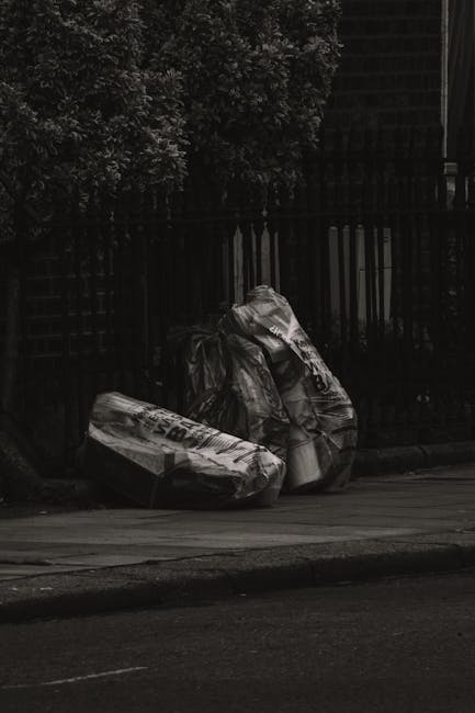 Blackheath park case study Lee garden rubbish removal